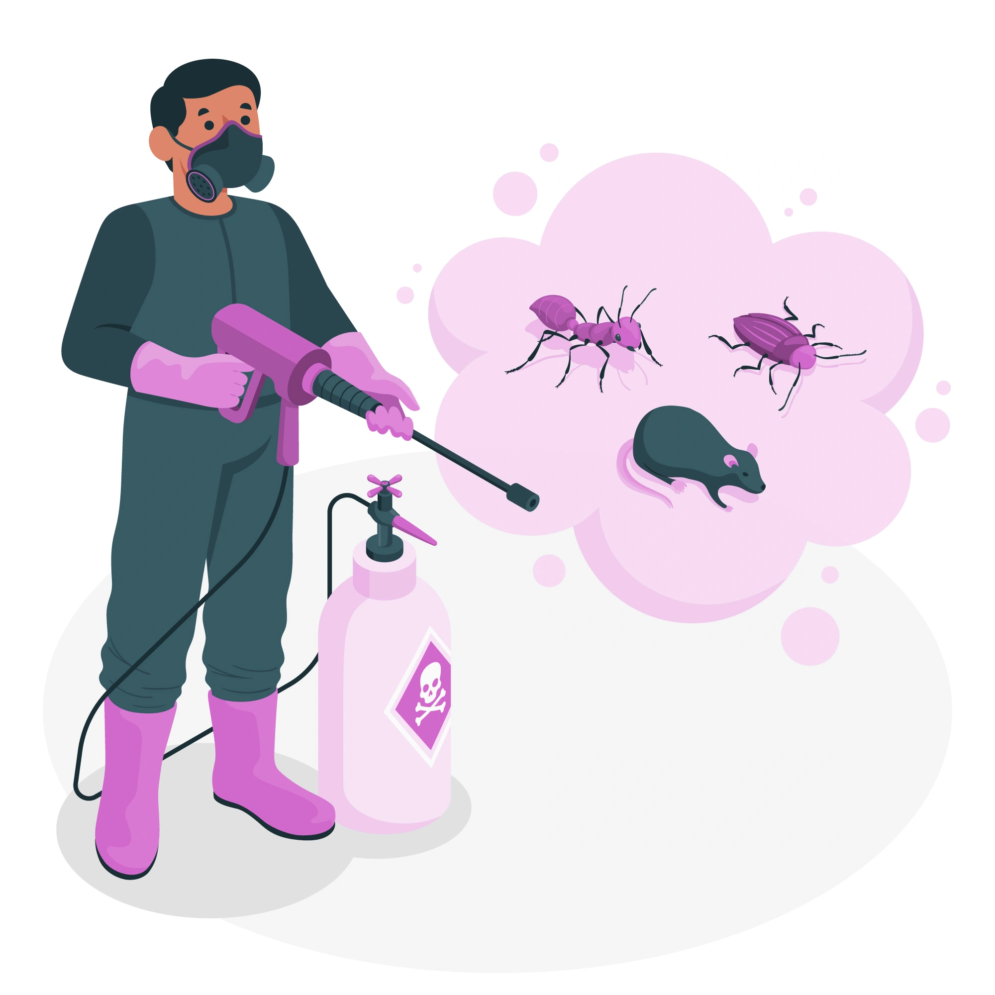 Pest Control Service